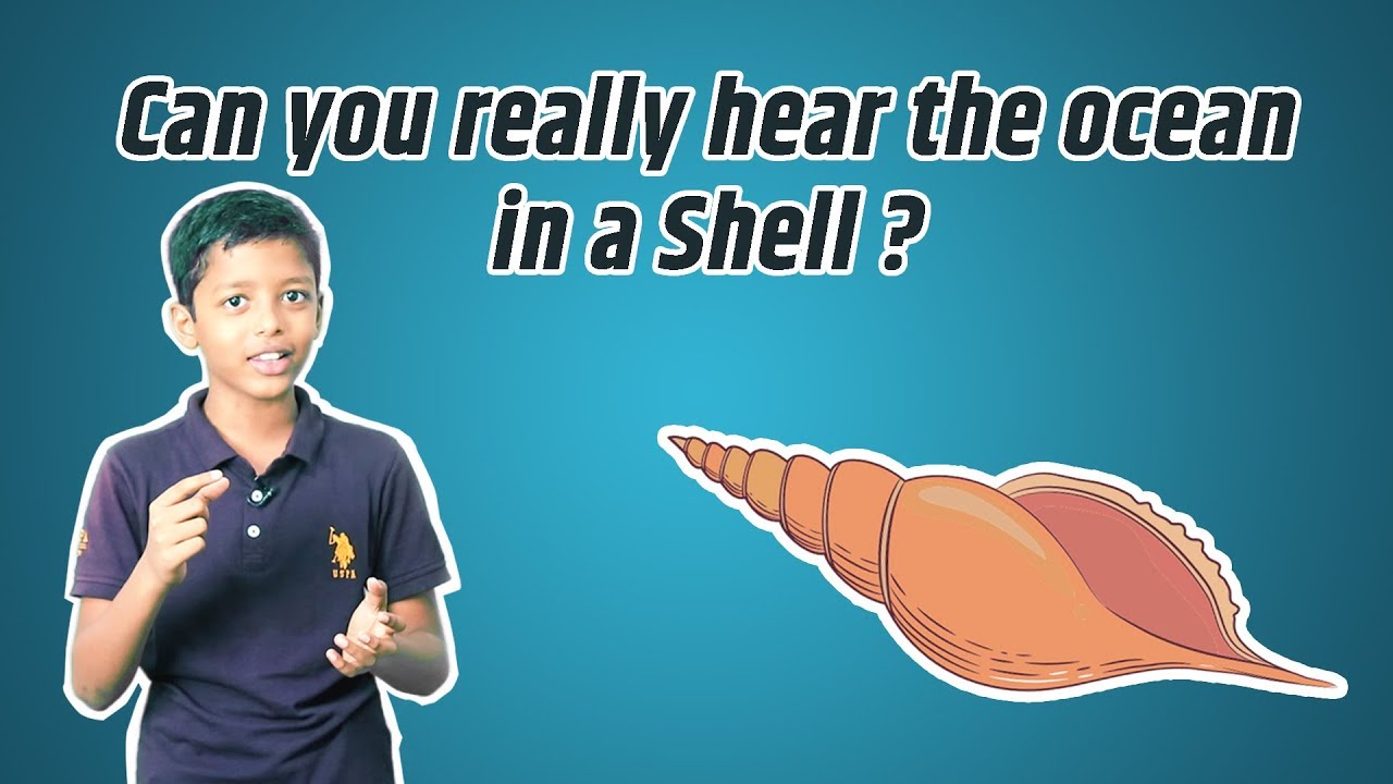 Can We Hear the Ocean Sound in a Seashell ?