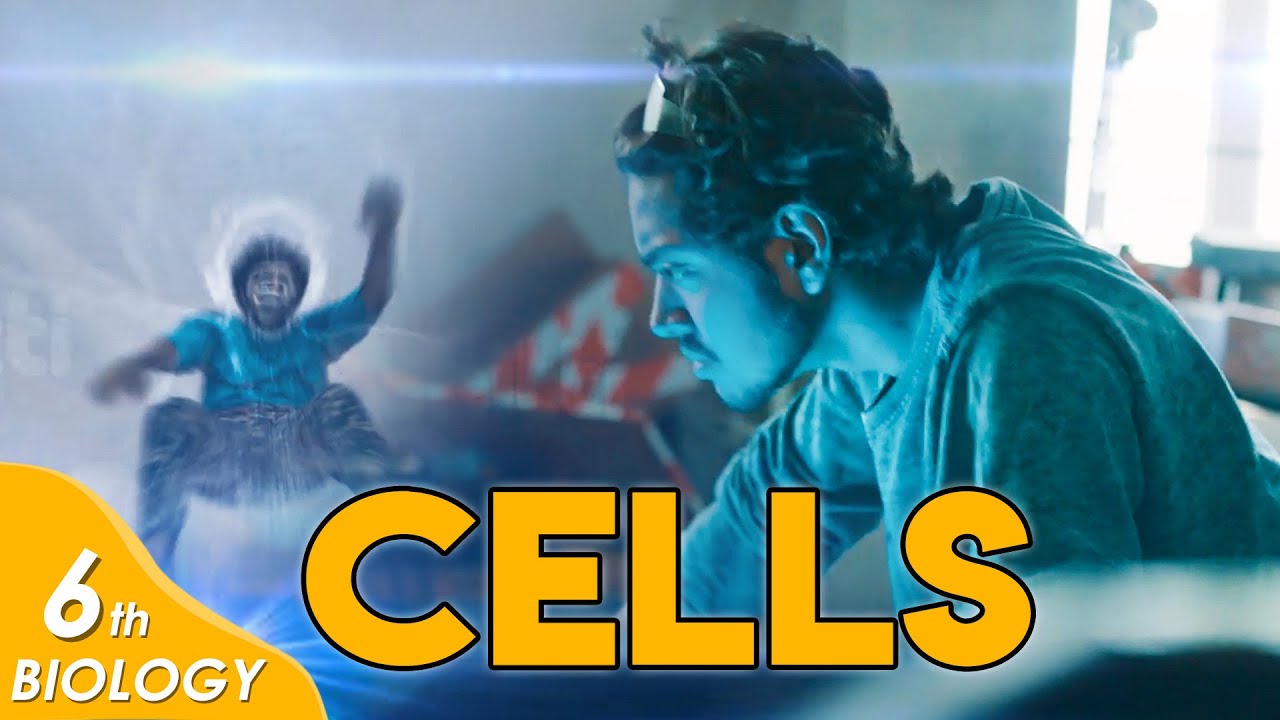 Introduction to Cells