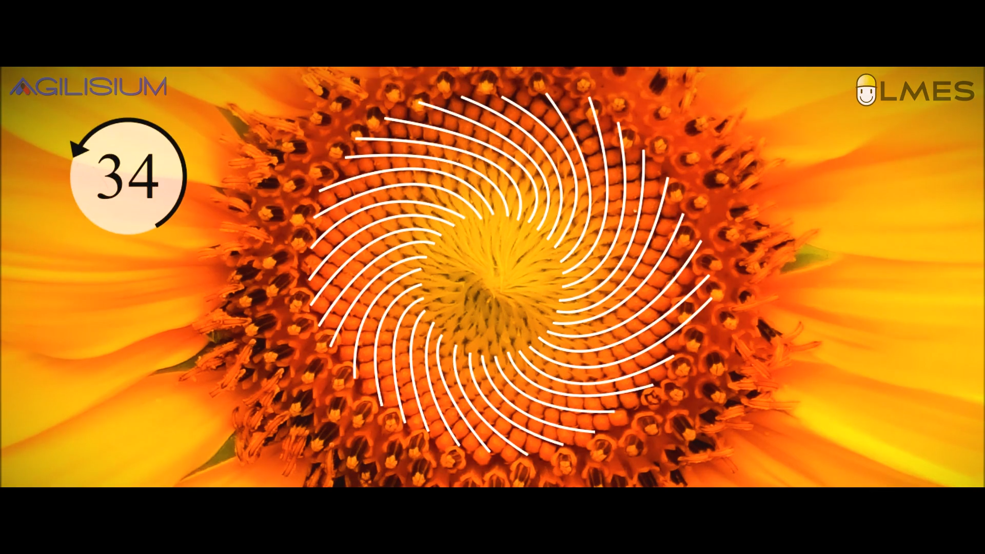 Fibonacci Series Part - I