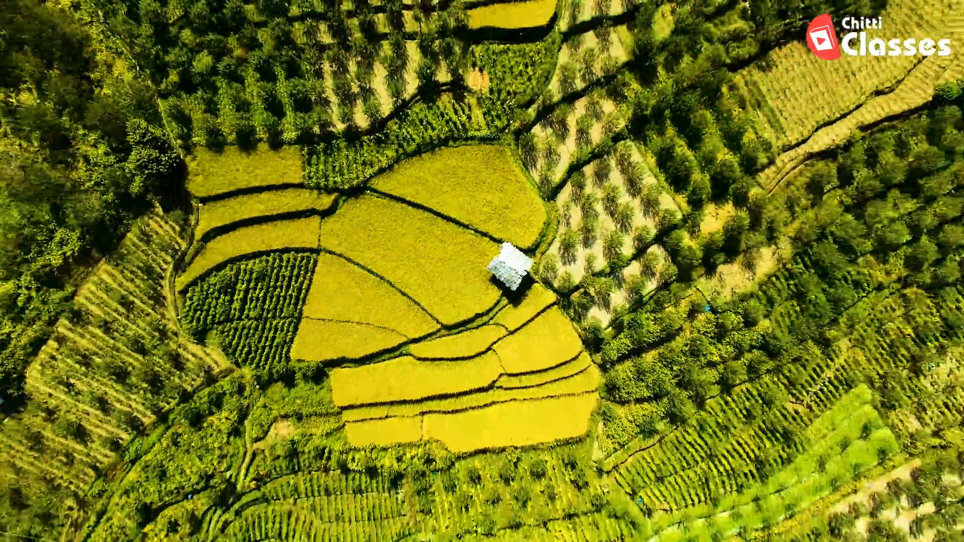 Green Revolution