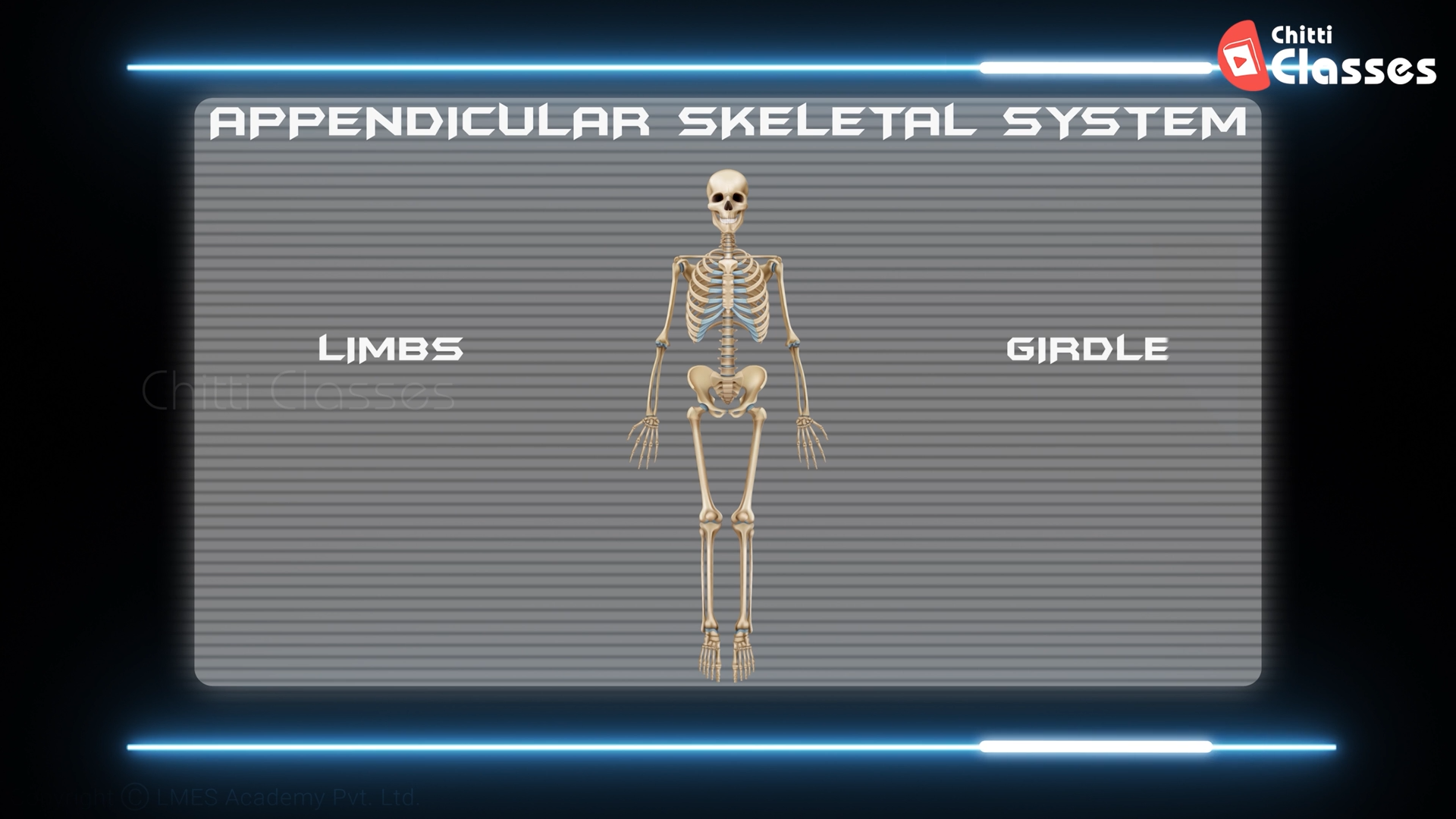 Introduction to Skleton- 2