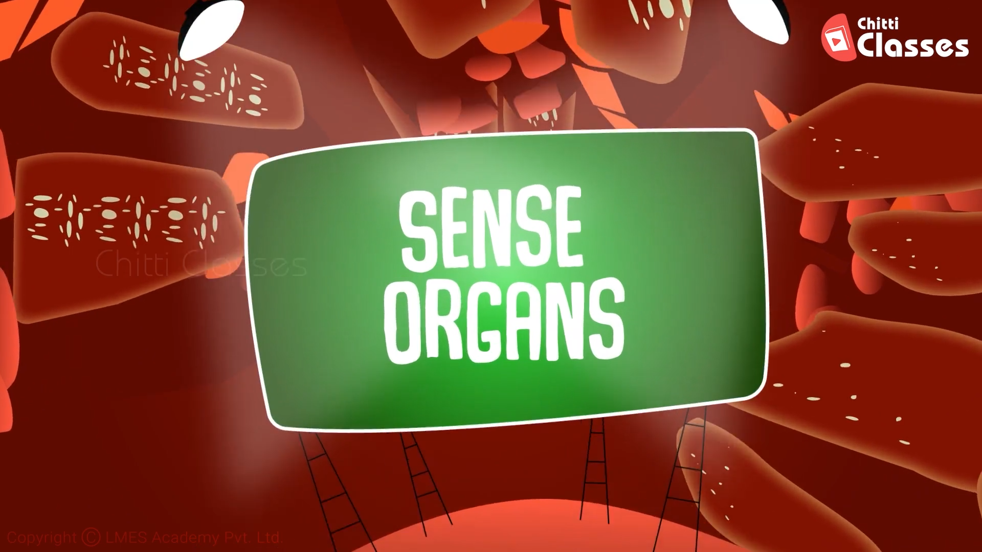 Sense Organs