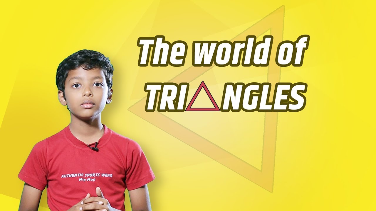 The World of Triangles