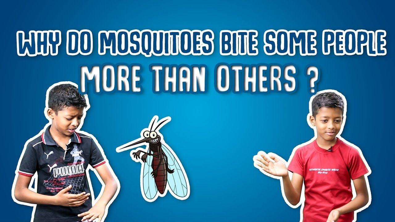 Why Do Mosquitoes Bite Some People More than Others ?