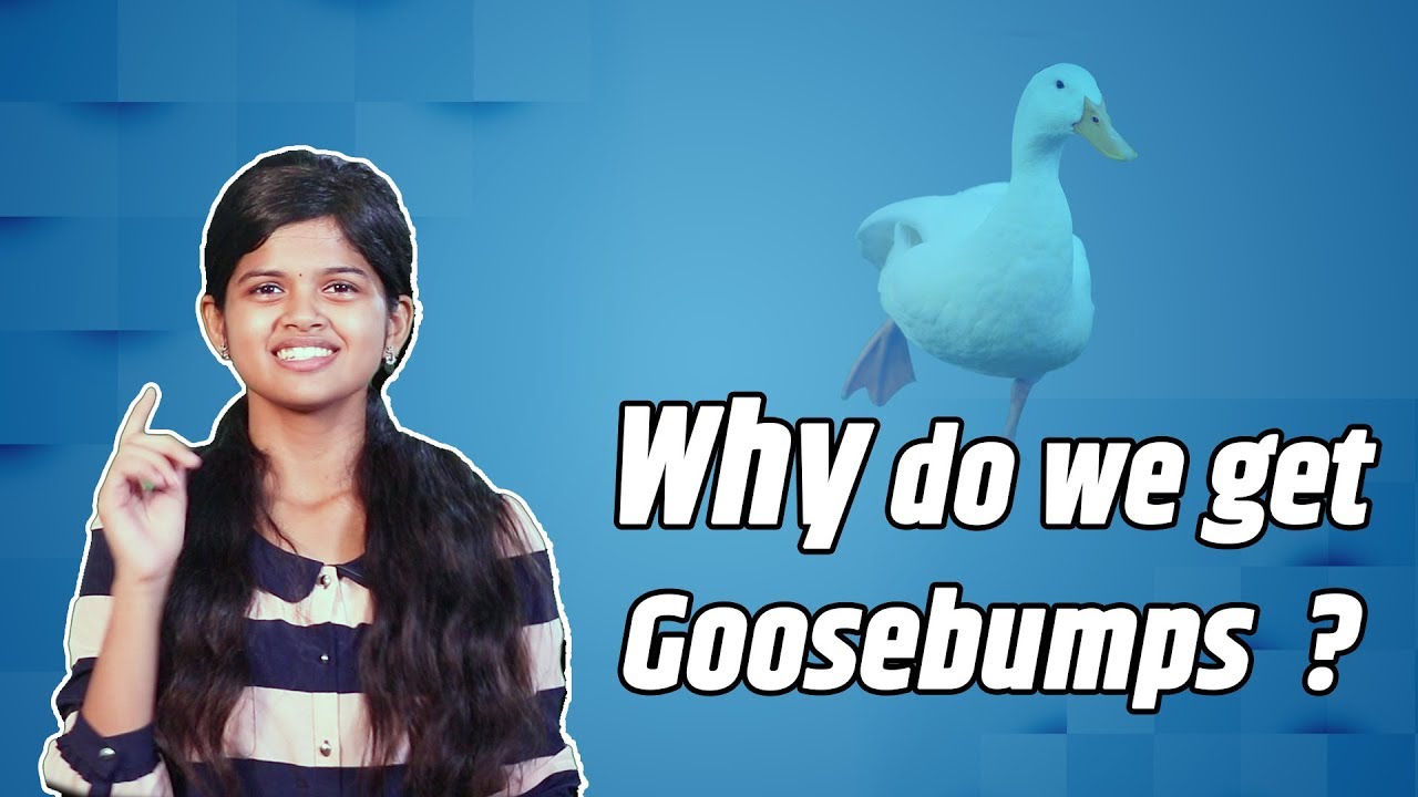 Why Do We Get Goosebumps ?