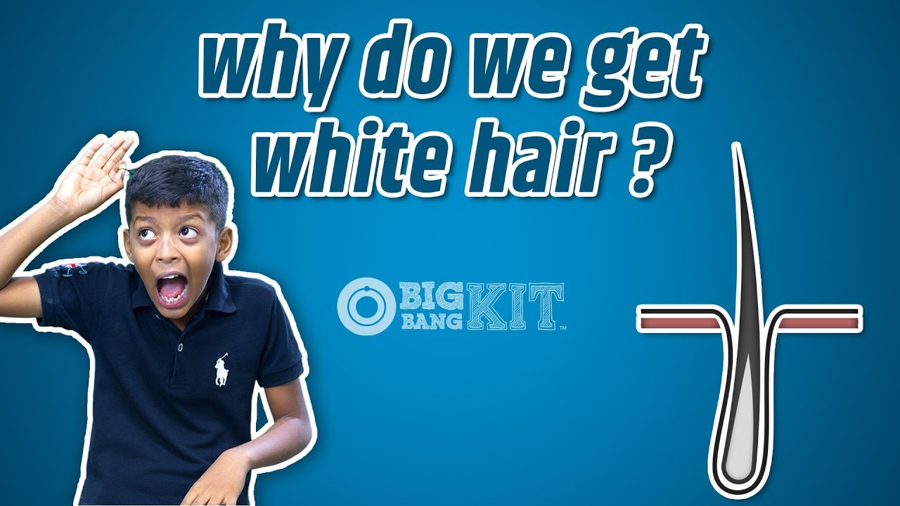 Why Do We Get White Hair ?