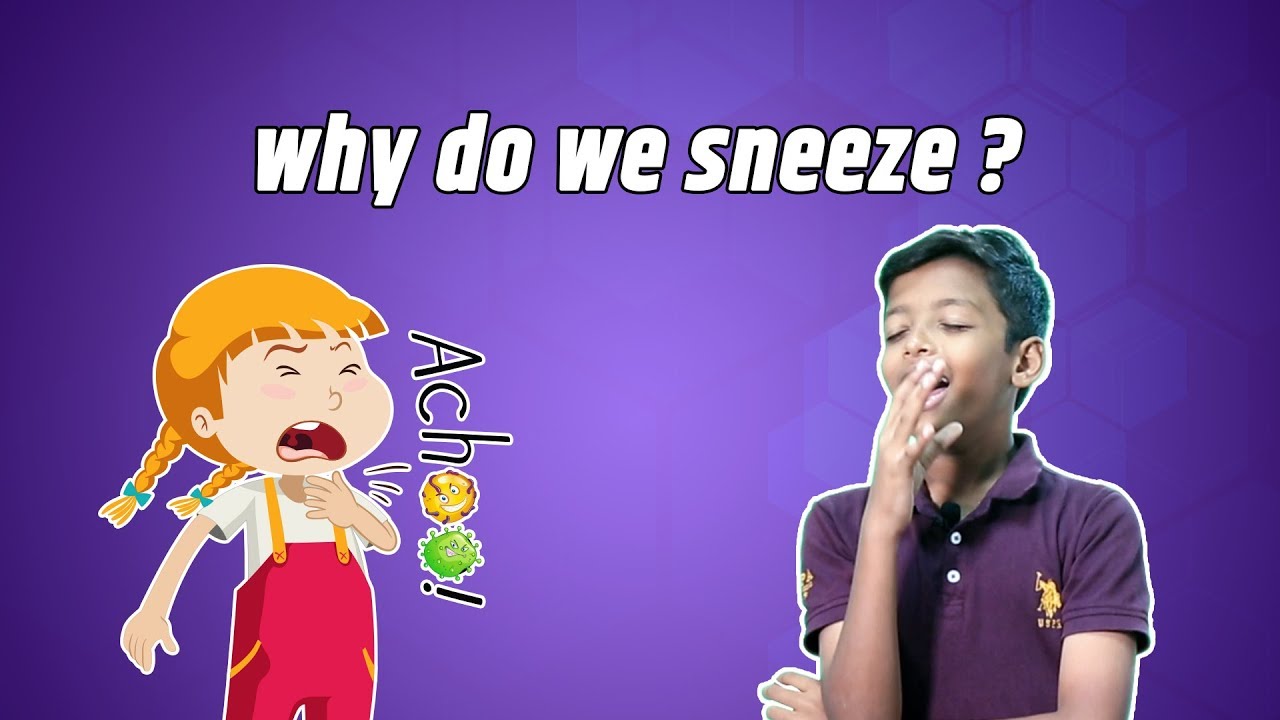 Why Do We Sneeze ?