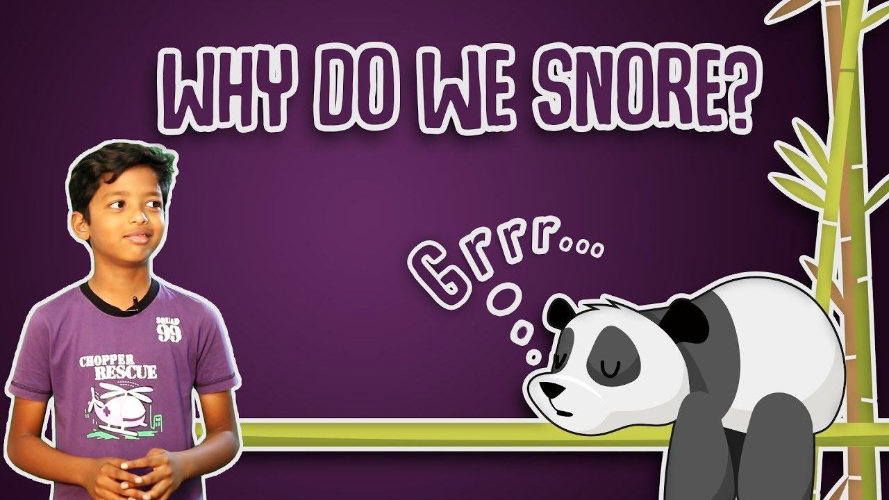 Why Do We Snore ?