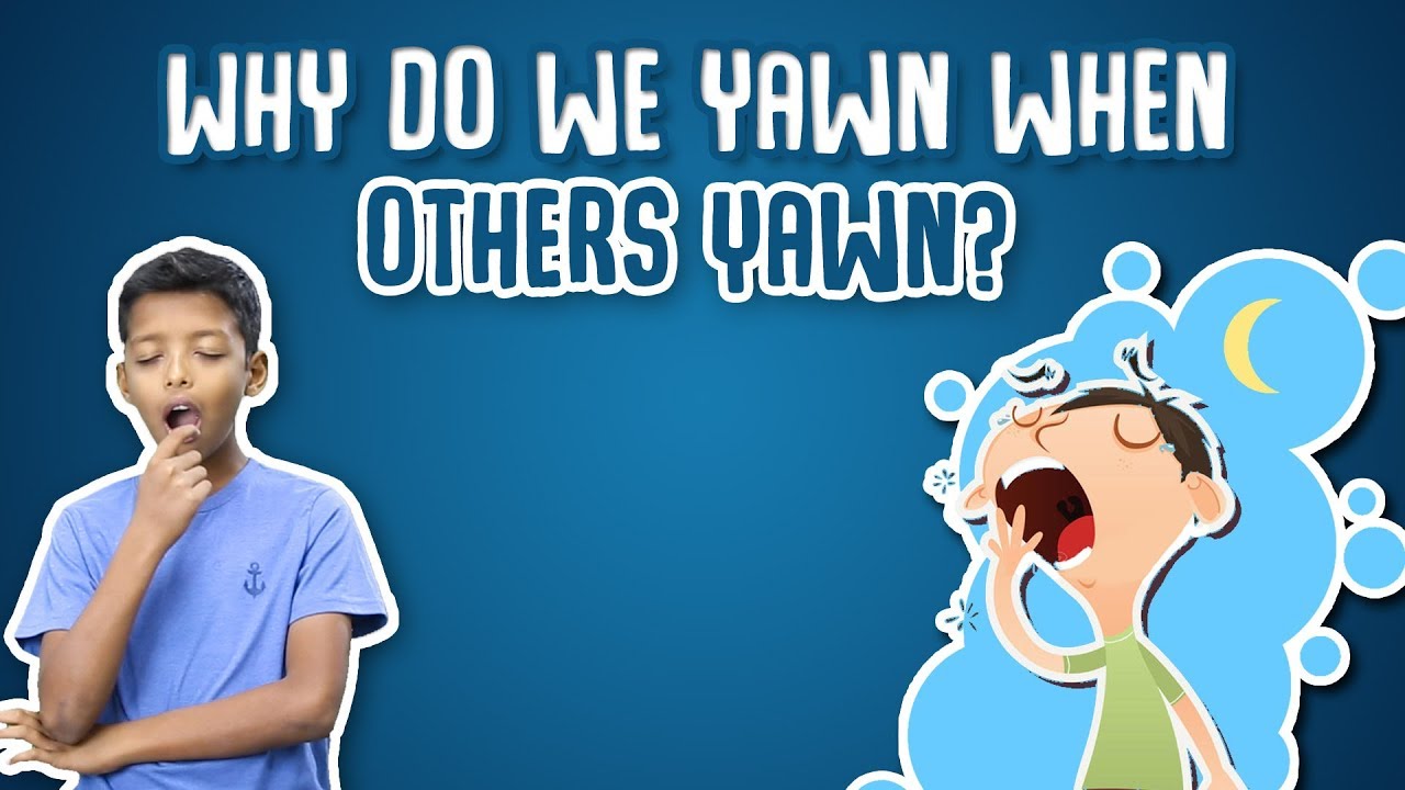 Why Do We Yawn When Others Yawn ?