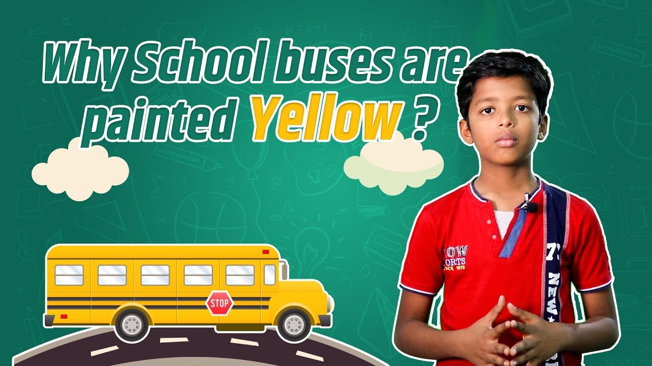 Why School Buses Are Painted in Yellow ?